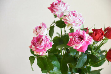 赤とピンクのばら