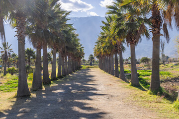 Obraz premium The scenery of Cangshan Mountain and Erhai Lake in Dali, Yunnan