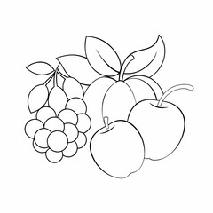 vector illustration of grapes