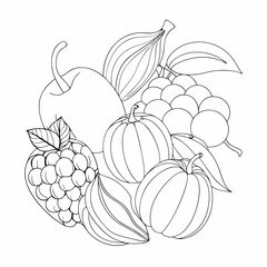 vector illustration of fruits