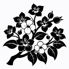 black and white flowers