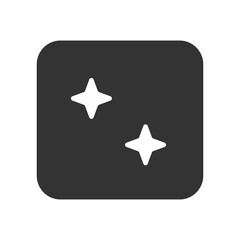 Monochrome Sparkle Icon Design