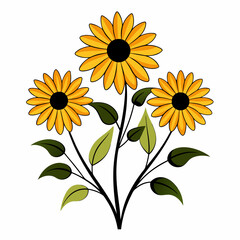sunflower isolated on white