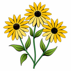 sunflower on white background
