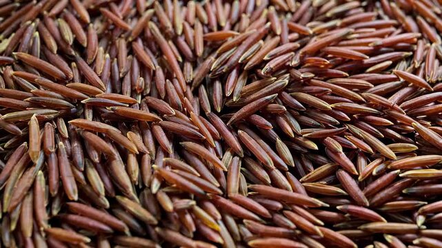 a close up of a pile of brown rice with a white background