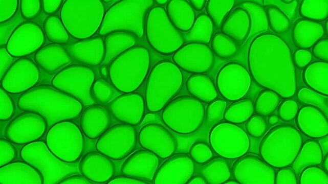 a green background with many small rocks and pebbles