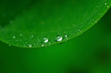 Green Leaf Macro Photography Water Droplets Background ai generated