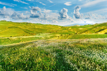 green flowering spring hills in rustic valley with rural road among blossoming grasslands leading...