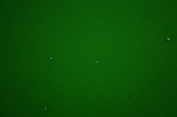 Green Liquid Water Background Subtle Texture Photography ai generated