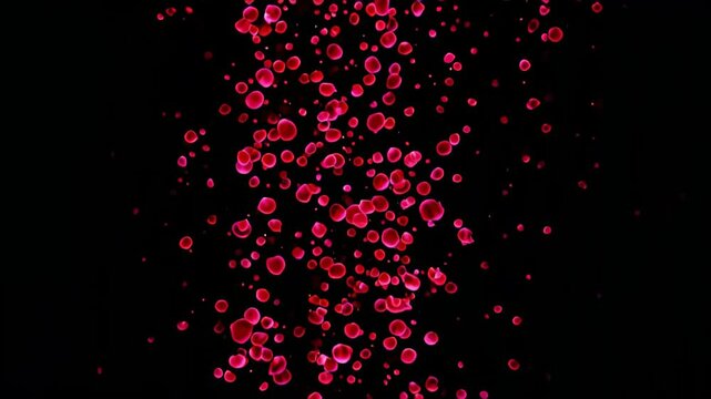 a lot of red blood cells floating in the air