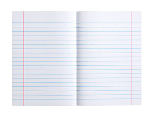 A sheet of lined notebook paper folded into quarters, featuring blue horizontal lines and a red vertical margin line on transparent background.