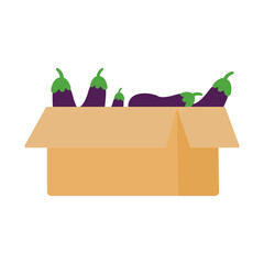 Fresh Farmer Market Illustration