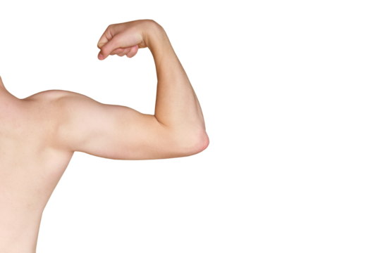 Male arms and back of caucasian young man muscles close-up, back view, png, isolated on transparent background. fist expressing strength and power	 - Powered by Adobe