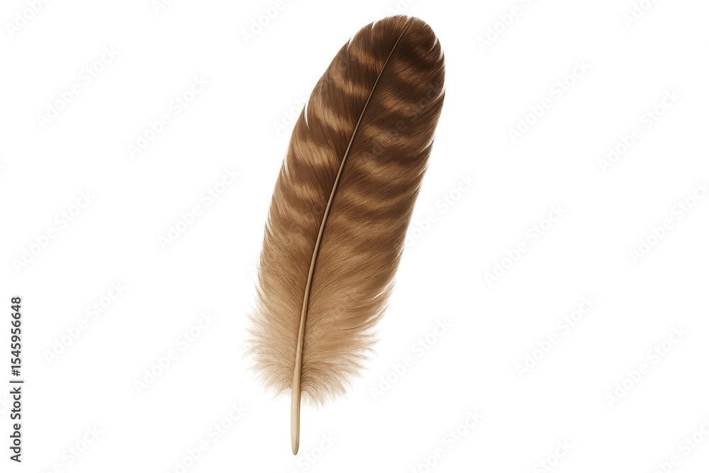 Poster photorealistic brown feather featuring a transparent background, enhancing graphic design projects w