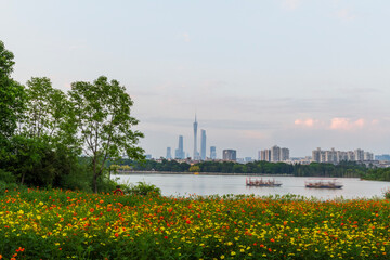 guangzhou skyline at sunset