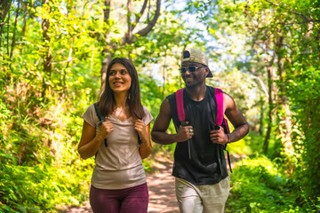 Hikers walking in forest trail enjoying scenic nature