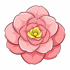 Pink camellia flower illustration white background