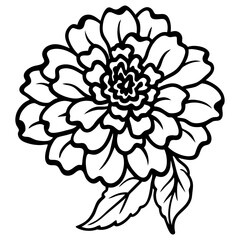 Black and white line art marigold flower illustration