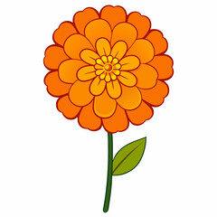 Single orange zinnia flower with green leaf on white background