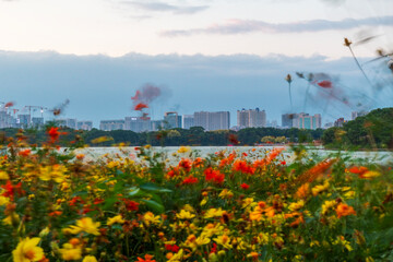 guangzhou skyline at sunset