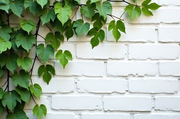 White Brick Wall Background with Climbing Ivy Plant Foliage ai generated