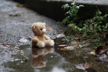 Waterlogged Teddy Bear Falling Apart in the Rain