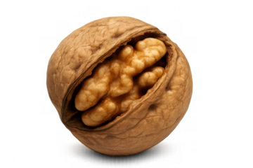 Walnut shell splitting apart, revealing inner kernel against transparent backdrop