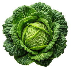Fototapeta premium Savoy Cabbage with Crinkled Leaves isolated on transparent background