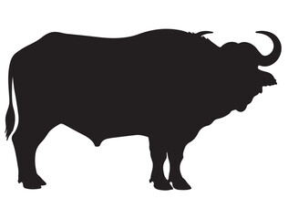 AFRICAN BUFFALO SILHOUETTE