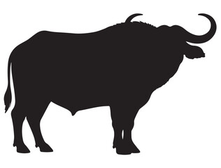 AFRICAN BUFFALO SILHOUETTE