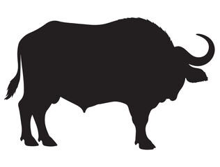 AFRICAN BUFFALO SILHOUETTE