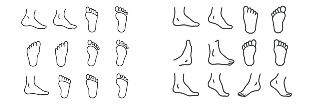 Line drawing vector icons showing feet from multiple angles and positions, suitable for anatomy, medical studies, footwear design, and reference guides.
