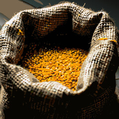 Yellow Lentils in Burlap Sack on Wooden Background

