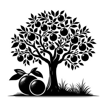 Black and white illustration of an orange tree