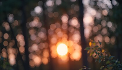 Sunset through trees with blurred light bokeh, warm orange and pink tones, nature background, peaceful and serene