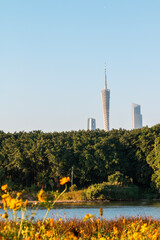 guangzhou skyline at sunset