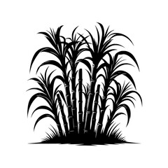 Black and white illustration of sugarcane plants