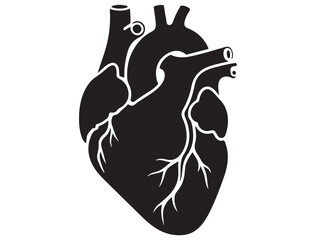 ANATOMICAL HEART SILHOUETTE