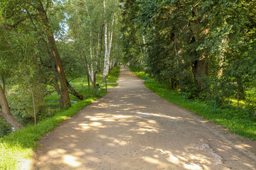 Fototapeta premium Dirt path in a summer forest with sunlight and green trees.