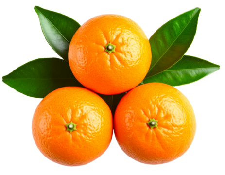 Three Fresh Mandarin Oranges in Triangle Formation with Leaves, Isolated on Transparent Background