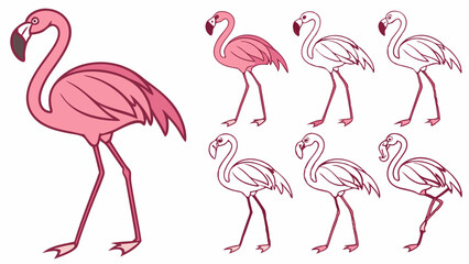 Obraz premium Seven flamingos in various stages of completion and color standing on a white background in a row