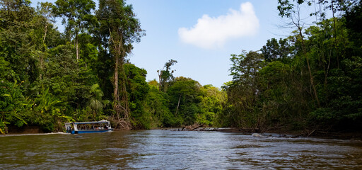 Tourists traveling on a motorboat exploring the tortuguero national park canals in costa rica
