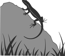 Gecko lizard, a small isolated reptile, is seen on a branch, tree, or rock in nature, showcasing its wild scales and detailed tail