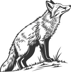 Here's a concise description:

Hand-drawn fox vector illustration depicting a cute wild mammal in the snow, isolated on white