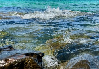 rocky sea coast