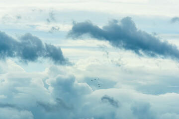 6月の空　朝の曇り空と印象的な雲09