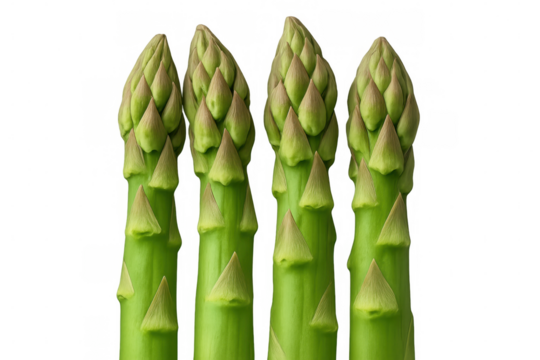 Green asparagus spears standing vertically, highlighting slender stalks and pointed tips against clean, clear background
