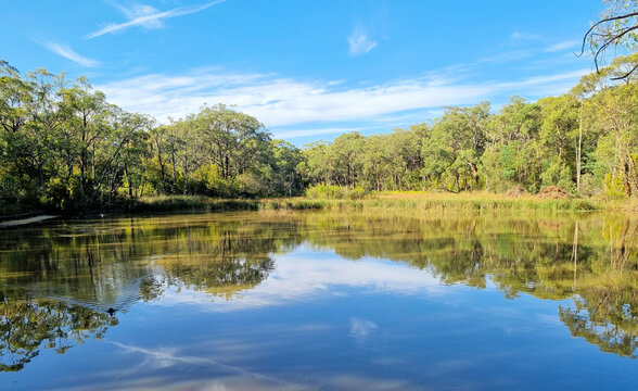 A lake surrounded by trees on the Edward Hunter Bush Reserve Moe Victoria. Reflections of the trees can be seen on the water.