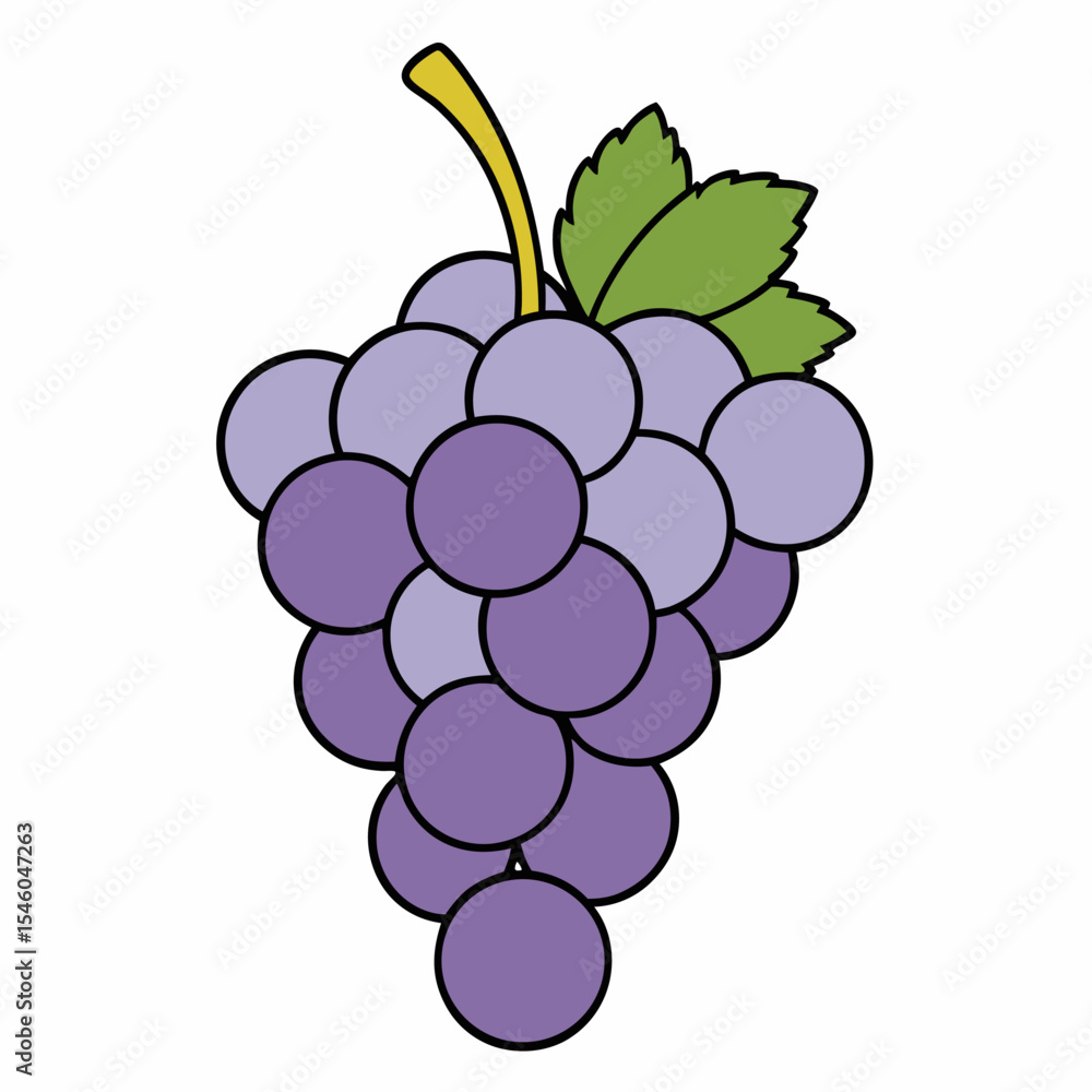 Poster simple line drawing of a grape bunch with stem