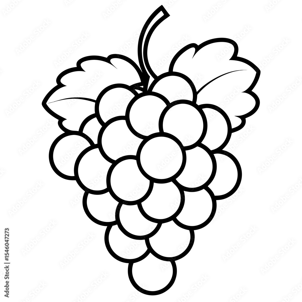 Poster simple line drawing of a grape bunch with stem